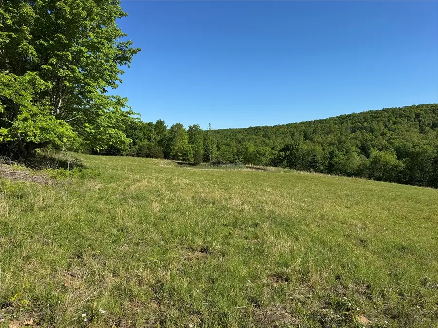 Madison Cr 3350, Huntsville, AR 72740 - Image #2