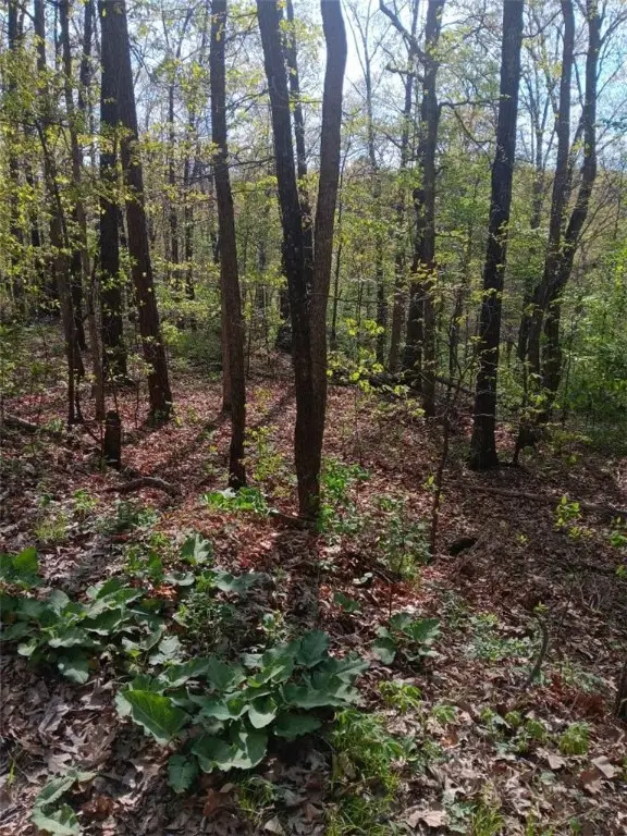 LOT 30 St. Ives Circle, Bella Vista, AR 72714 - #2
