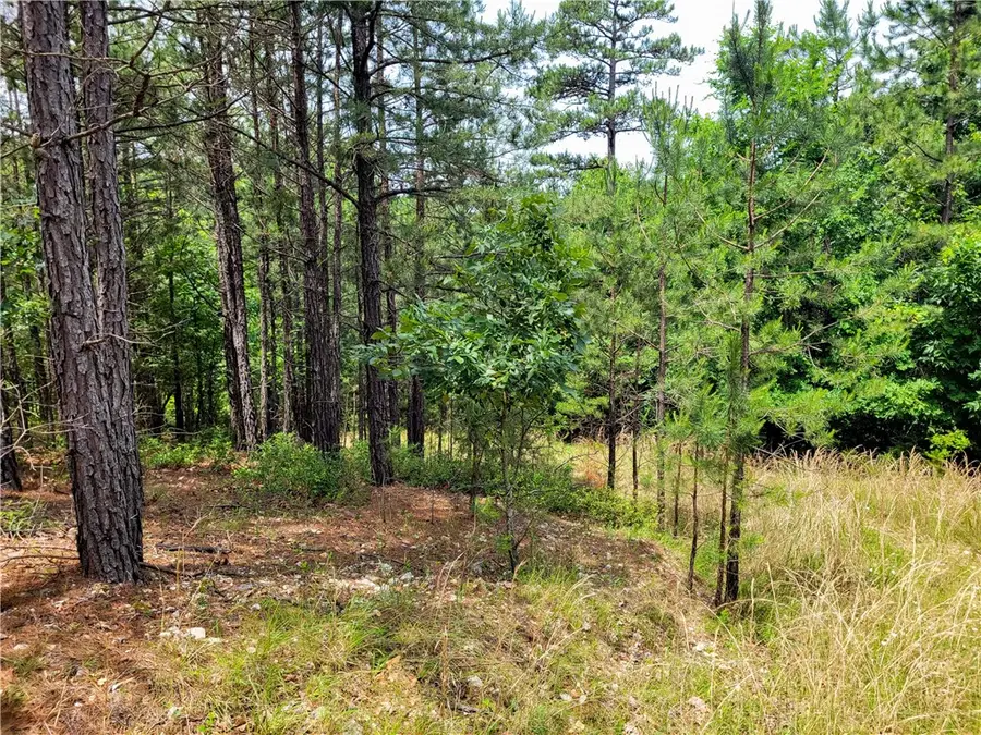 000 TBD Cr 1525, Eureka Springs, AR 72632 - Image #2