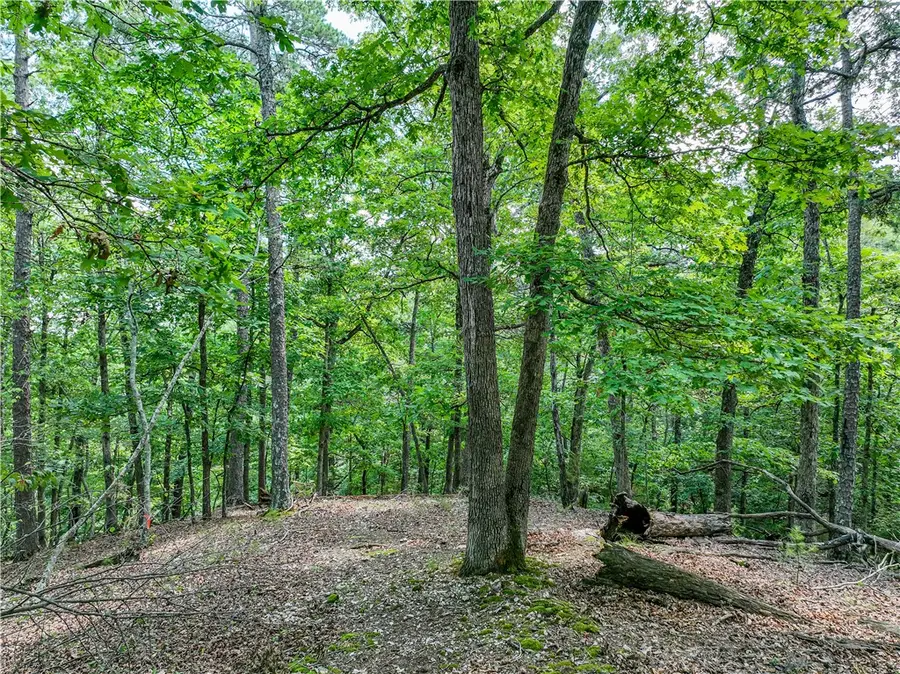 E Van Buren, Eureka Springs, AR 72632 - Image #3