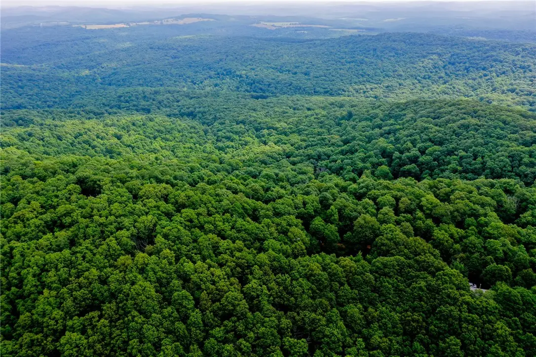 3700 Madison, Pettigrew, AR 72752 - Image #1