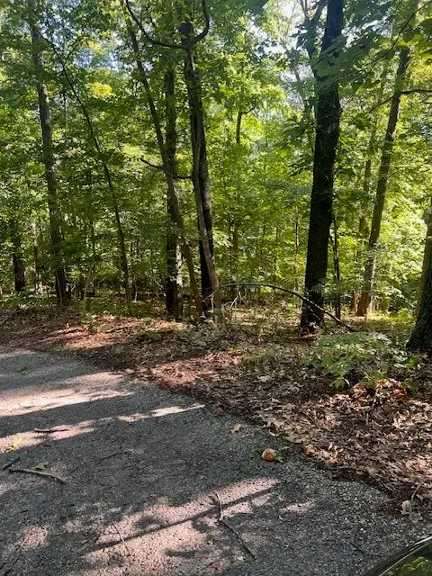 Selkirk Circle, Bella Vista, AR 72715 - #2