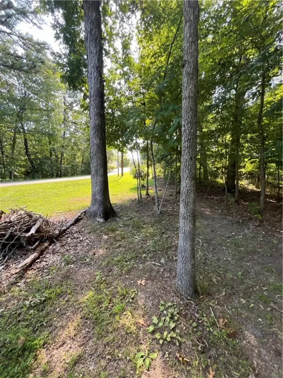 Fleetwood Drive, Bella Vista, AR 72714 - #3