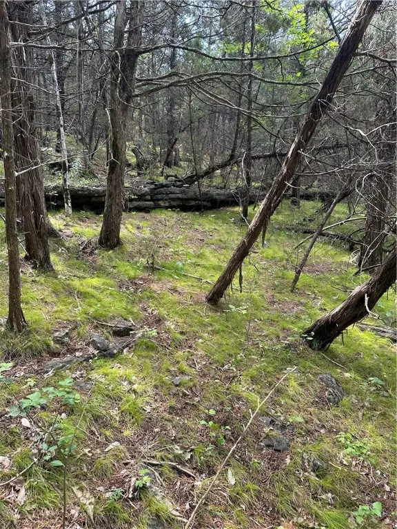 20 Lakeview Lane, Holiday Island, AR 72631 - Image #3