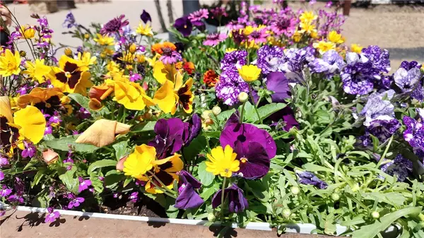 Stoneleigh Lane, Bella Vista, AR 72715