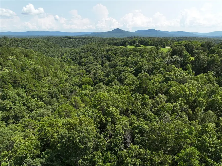 TBD Hwy 123, Hasty, AR 72640 - Image #3