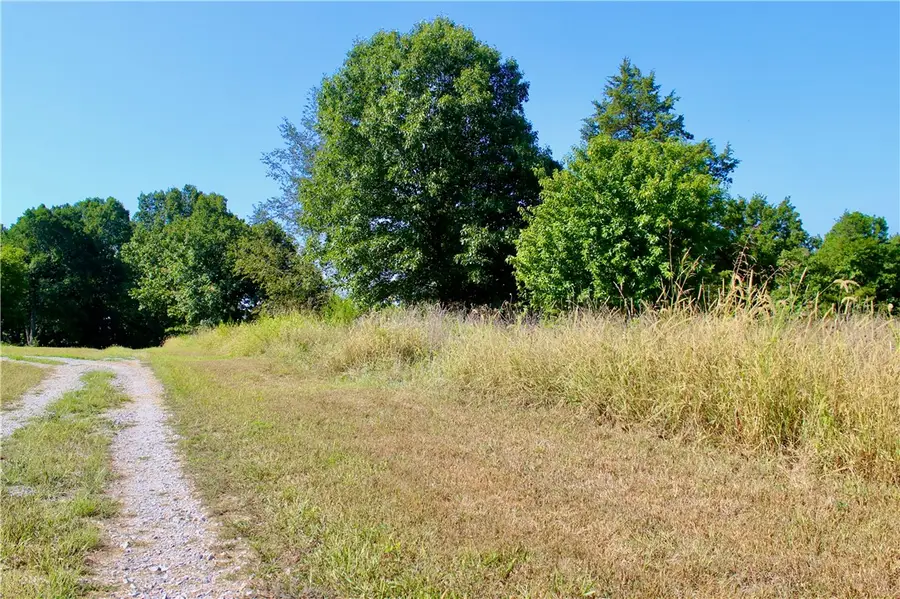 County Road 4171, Berryville, AR 72616 - Image #2