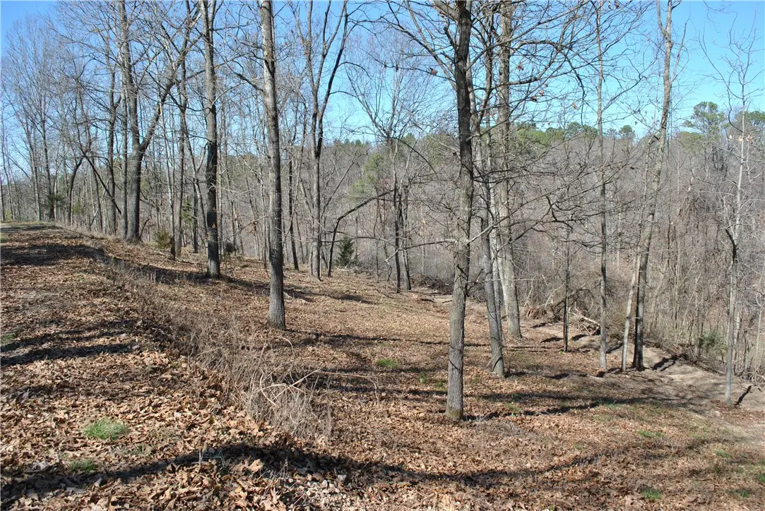 Lot 104 E Robin Road, Rogers, AR 72756 - #1