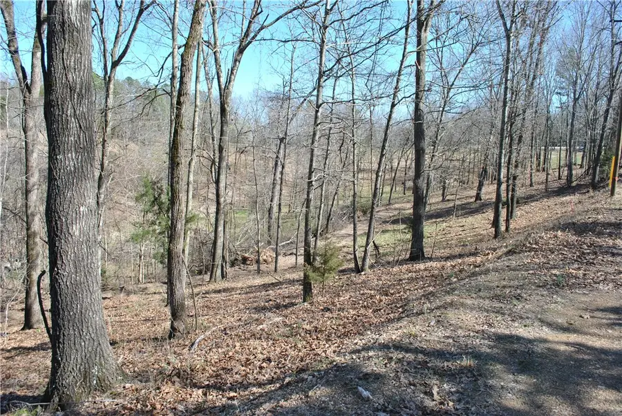 Lot 104 E Robin Road, Rogers, AR 72756 - #2
