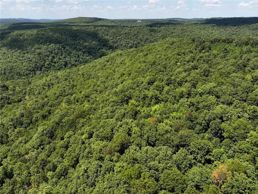 TBD 8872, Deer, AR 72628 - Image #2