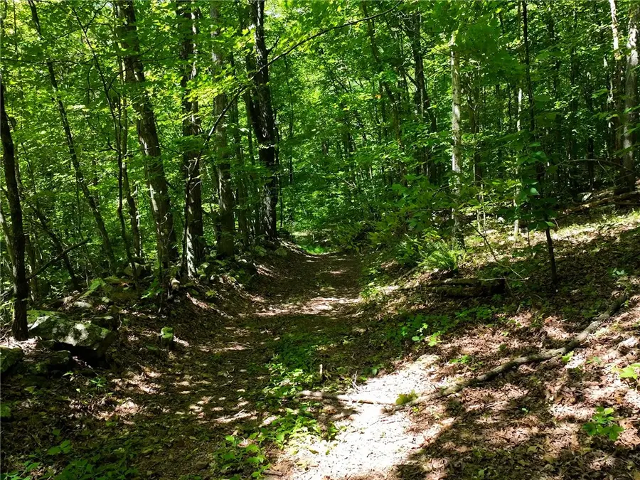 TBD 8872, Deer, AR 72628 - Image #3