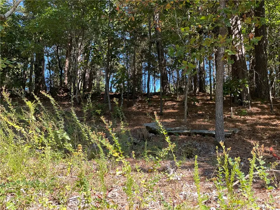 Lot 3 Cedar Terrace, Rogers, AR 72756 - #3