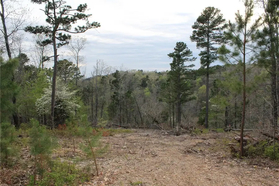 953 Pine Tree Road, Kansas, OK 74347 - Image #3