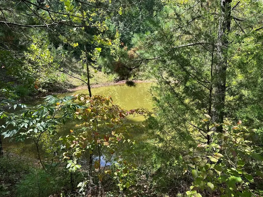 NC 3875, Hasty, AR 72640 - #3