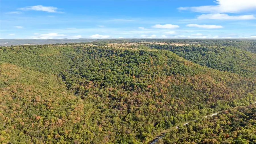 Hwy 221s, Berryville, AR 72616 - Image #2