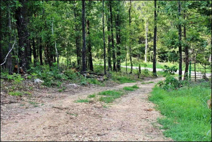 0 Grassy Gap Road, Harrison, AR 72601 - Image #2