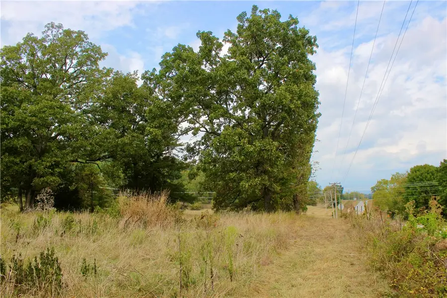 Mulberry Lane, Eureka Springs, AR 72631 - Image #3