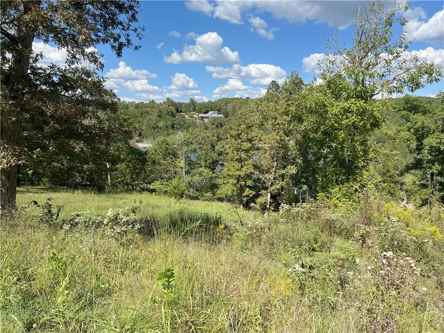 000 Ledge Rock Lane #Lot 9, Omaha, AR 72662 - Image #3