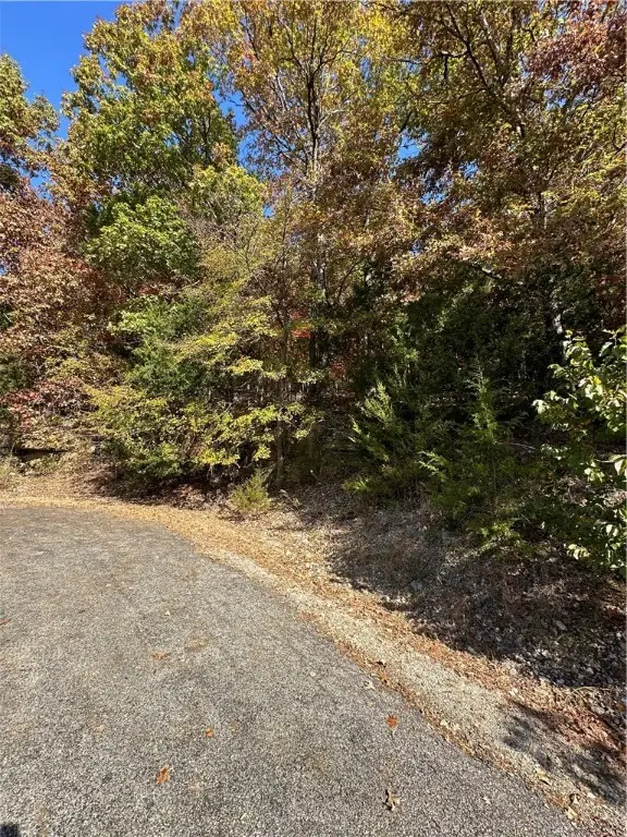 Woodside Lane, Holiday Island, AR 72631 - Image #3