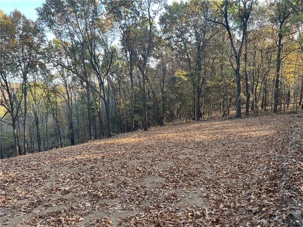17.03 AC Jackson Ridge, Omaha, AR 72662 - #1