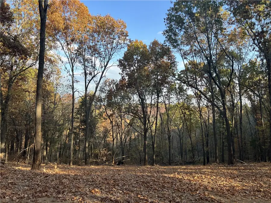 17.03 AC Jackson Ridge, Omaha, AR 72662 - #2