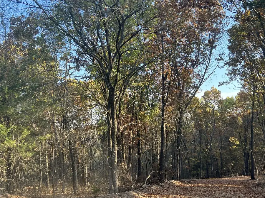 17.03 AC Jackson Ridge, Omaha, AR 72662 - #3