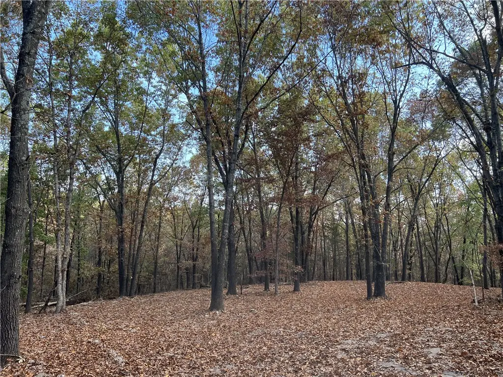 16.33 AC Jackson Ridge, Omaha, AR 72662 - #1