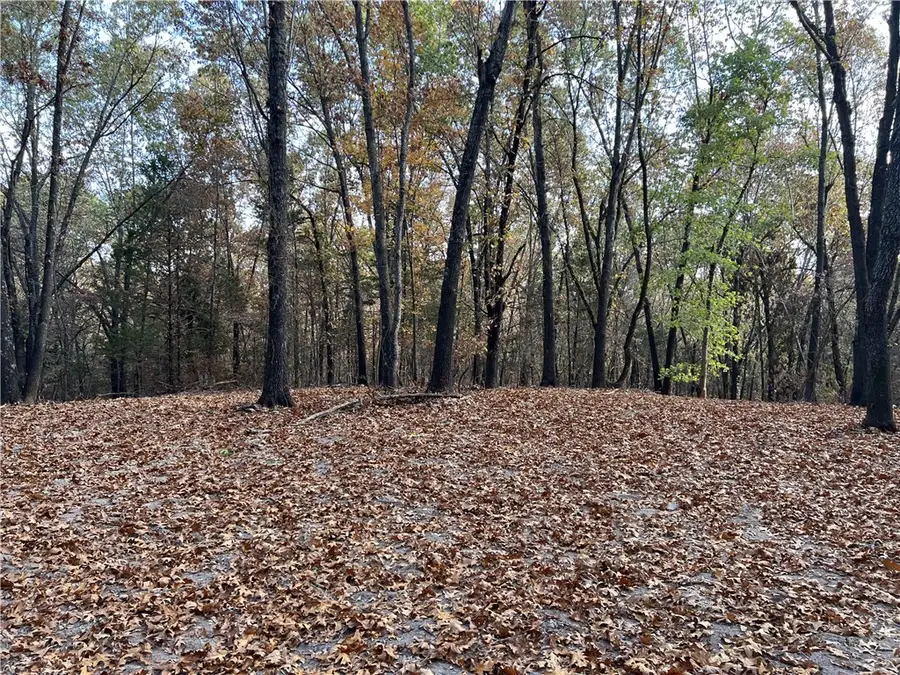 16.33 AC Jackson Ridge, Omaha, AR 72662 - #2