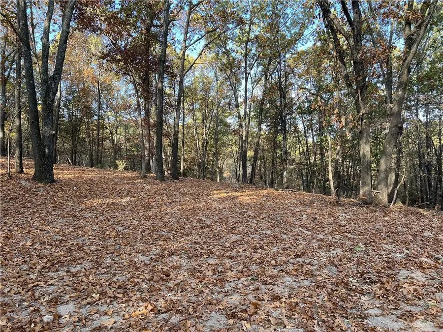 16.33 AC Jackson Ridge, Omaha, AR 72662 - #3