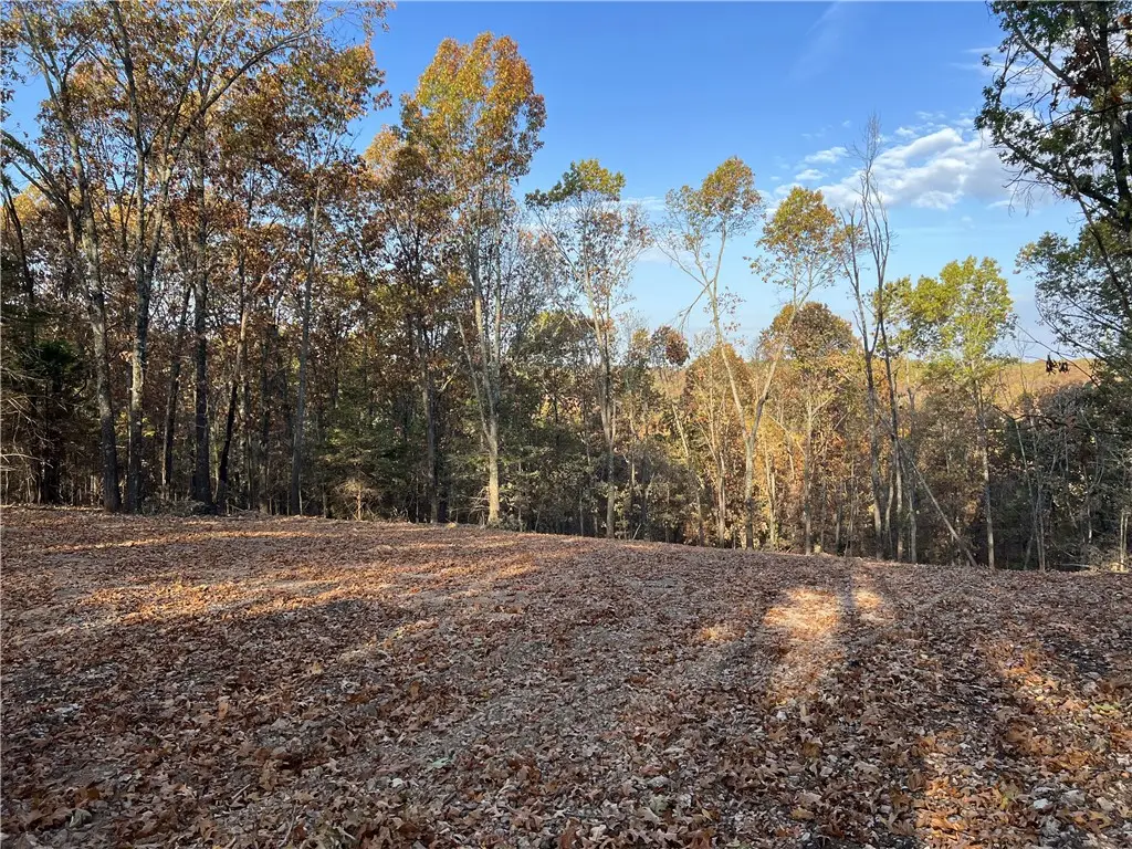 10.51 AC Jackson Ridge, Harrison, AR 72662 - #1