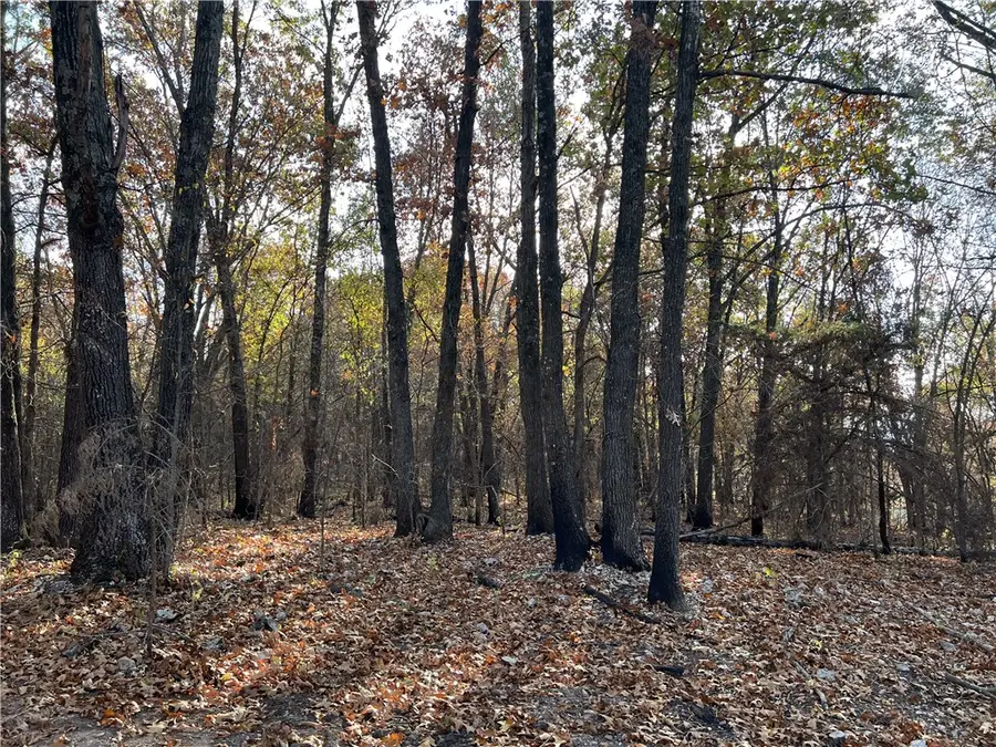 10.51 AC Jackson Ridge, Harrison, AR 72662 - #3