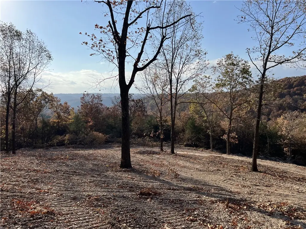 21.73 AC Jackson Ridge, Omaha, AR 72662 - #1