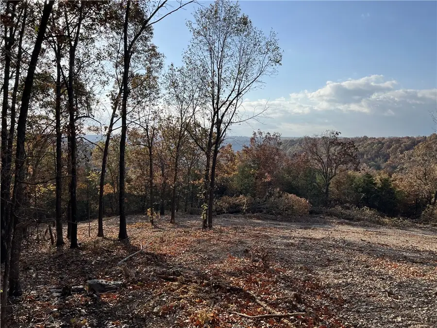 21.73 AC Jackson Ridge, Omaha, AR 72662 - #2