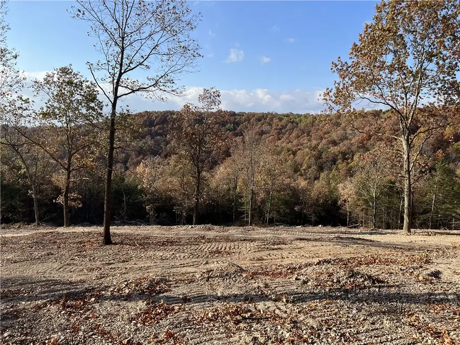 21.73 AC Jackson Ridge, Omaha, AR 72662 - #3