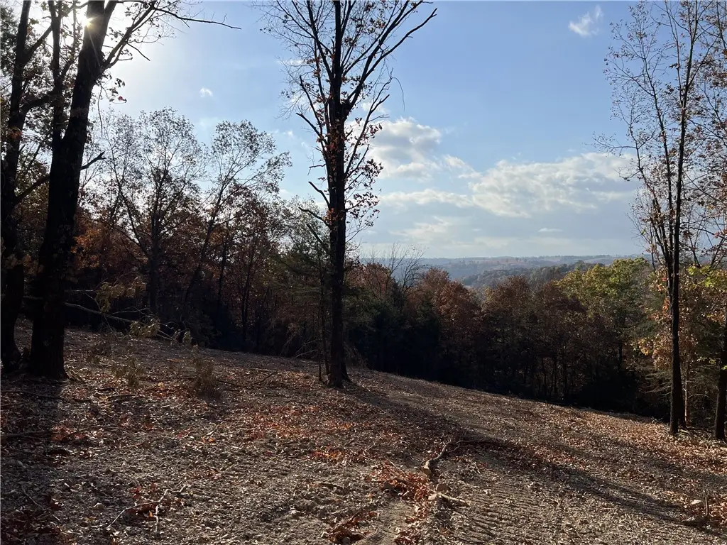 11.00 AC Jackson Ridge, Omaha, AR 72662 - #1