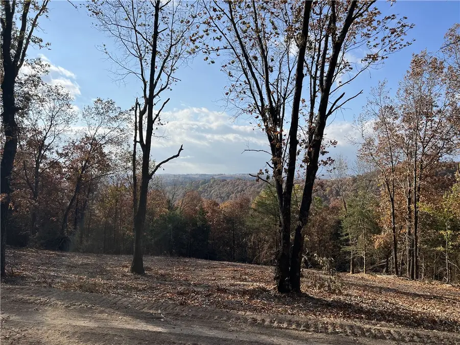 11.00 AC Jackson Ridge, Omaha, AR 72662 - #2