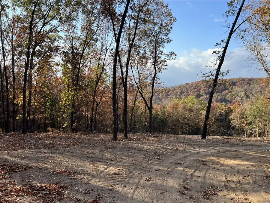 11.00 AC Jackson Ridge, Omaha, AR 72662 - #3