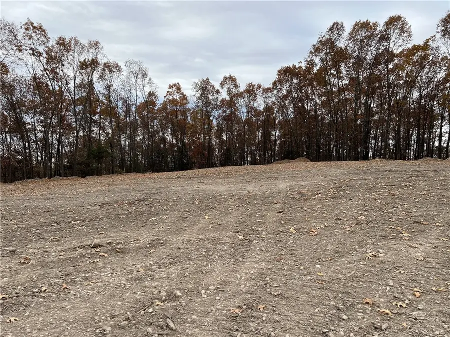 37.64 AC Dubuque Road, Omaha, AR 72662 - #3