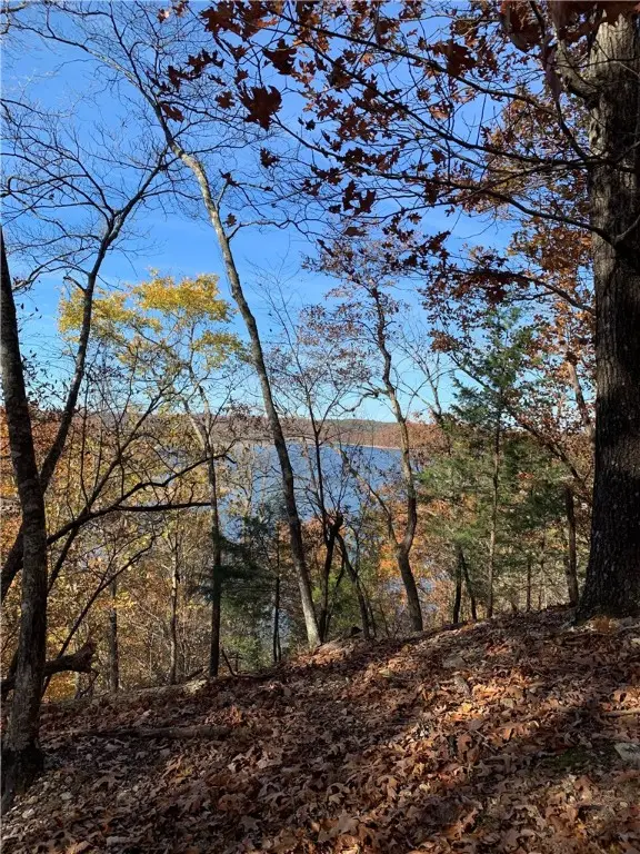 4.32 AC Barzel Point Road, Rogers, AR 72756 - #3