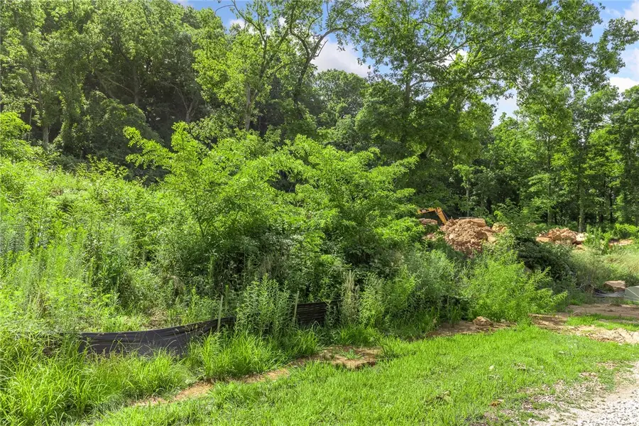 Lot 3 Significance Summit, Harrison, AR 72601 - Image #3