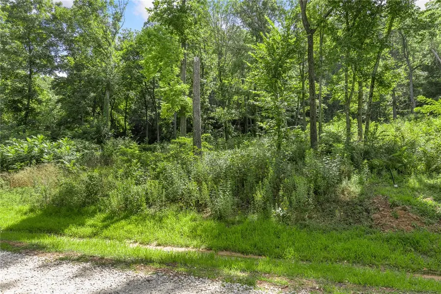 Lot 4 Significance Summit, Harrison, AR 72601 - Image #3