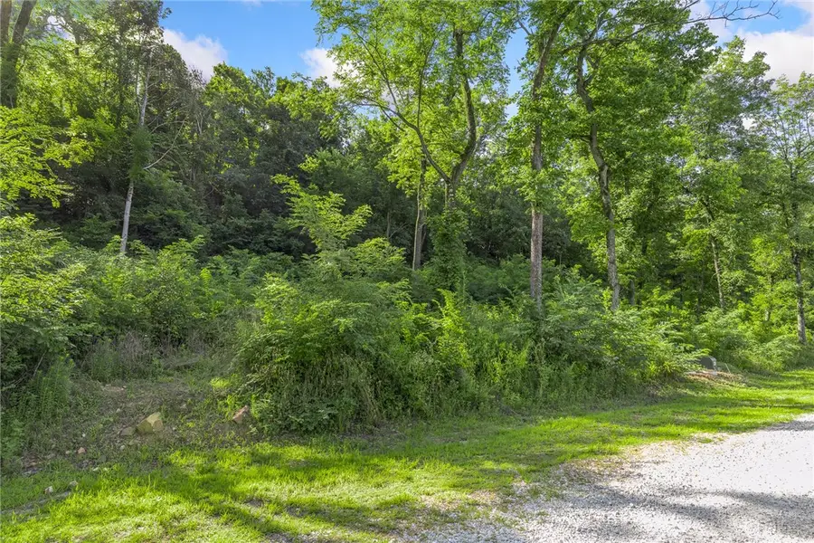 Lot 7 Peaceful Place, Harrison, AR 72601 - Image #3