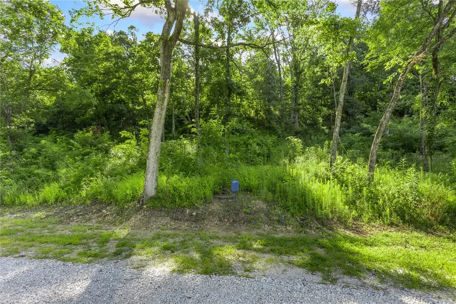 Lot 9 Peaceful Place, Harrison, AR 72601 - Image #2