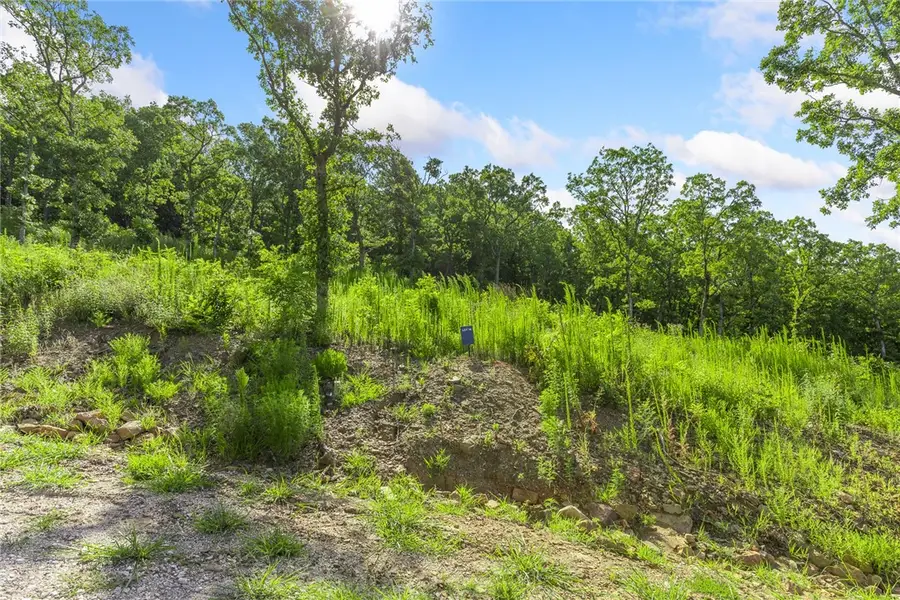 Lot 14 Peaceful Place, Harrison, AR 72601 - Image #2