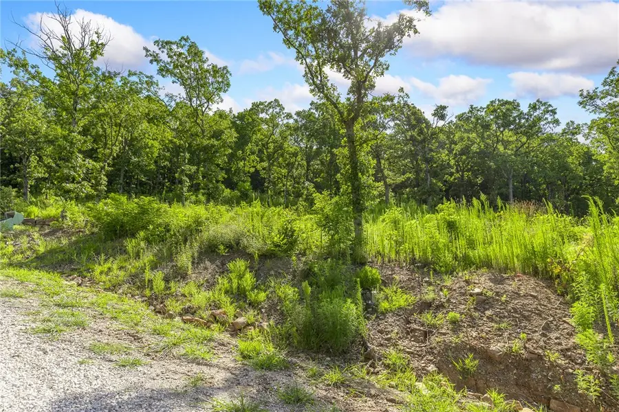 Lot 14 Peaceful Place, Harrison, AR 72601 - Image #3