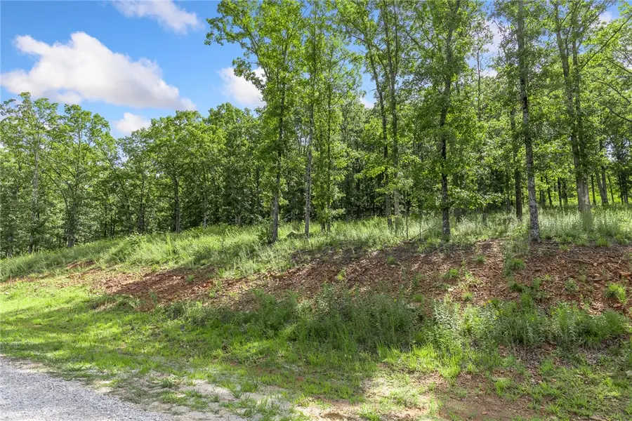 Lot 23 Restore Ridge, Harrison, AR 72601 - Image #3