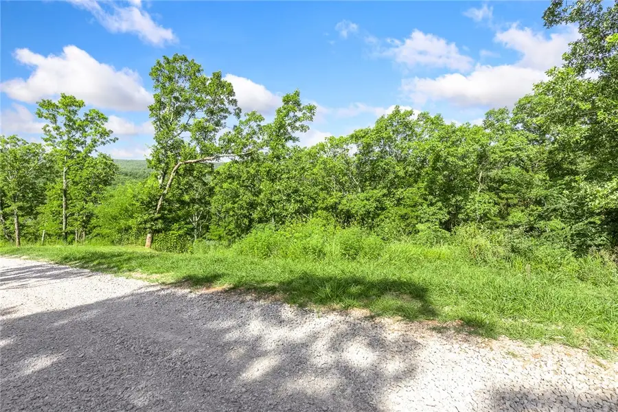 Lot 24 Peaceful Place, Harrison, AR 72601 - Image #3