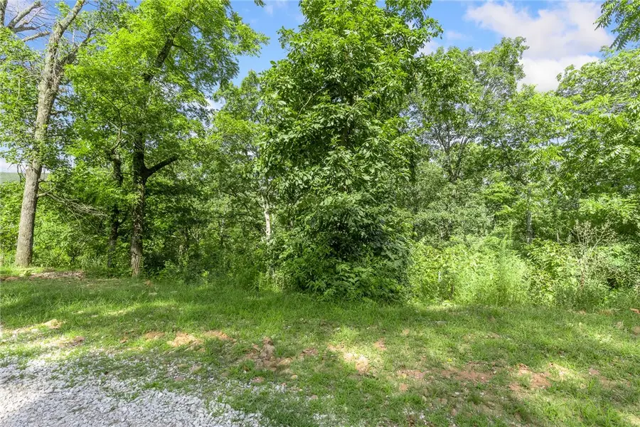Lot 26 Peaceful Place, Harrison, AR 72601 - Image #3