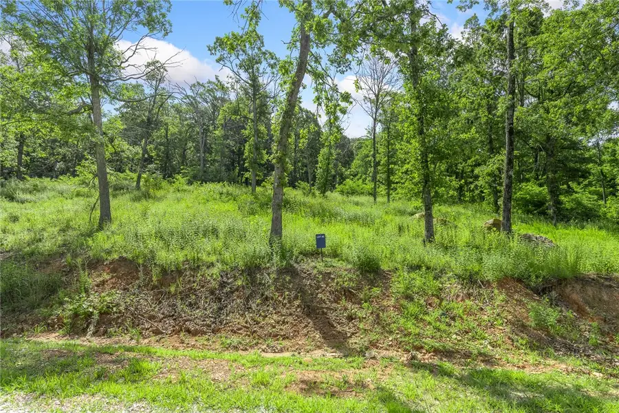 Lot 45 Restore Ridge, Harrison, AR 72601 - Image #2
