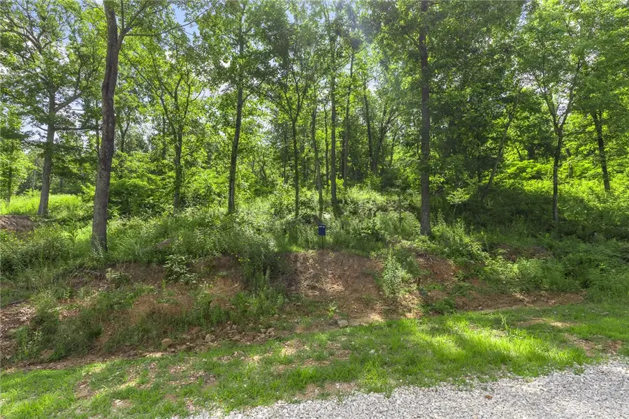 Lot 46 Restore Ridge, Harrison, AR 72601 - Image #2